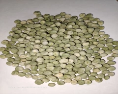 Dried green Green Peas for sale in Jalaun
