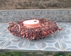 A Grade Quality Elephant Yam for sale in Palakkad