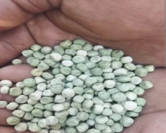 Dried green Green Peas for sale in Jalaun