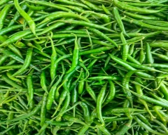 Hybrid Green Chilli for sale in Nagpur