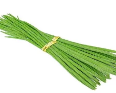 A Grade Quality Drumstick for sale in Gadag