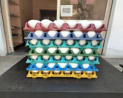 Normal Egg for sale in Hyderabad