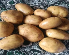 Other Potato for sale in Meerut