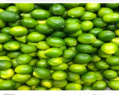 B Grade Quality Lemon for sale in Siddipet