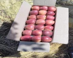 Kashmiri Apple for sale in Baramulla