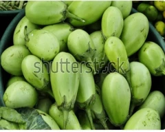 Normal Brinjal for sale in Purulia