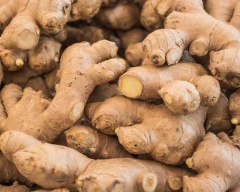 Normal Ginger for sale in Mysuru