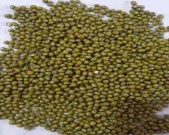 A Grade Quality Moong for sale in Bhiwani