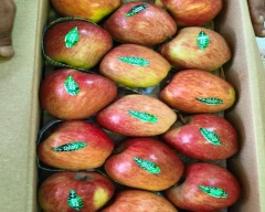 Kashmiri Apple for sale in Anantnag