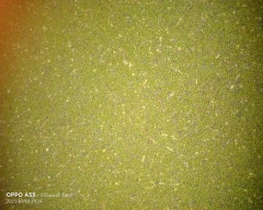 Normal Moong for sale in Pali