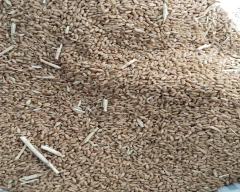 Normal Wheat for sale in Lakhimpur