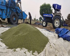 Normal Moong for sale in Churu