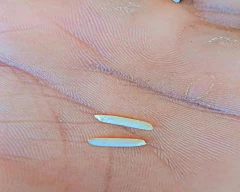 Normal Rice for sale in Etawah