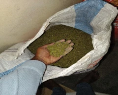 B Grade Quality Moong for sale in Jodhpur