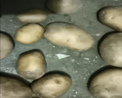 Pukhraj Potato for sale in Haridwar