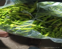Normal Green Chilli for sale in Dhule