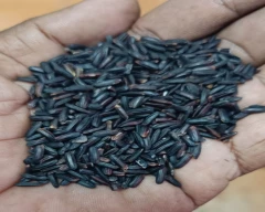 Black Rice for sale in Tirunelveli