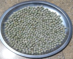 Dried green Green Peas for sale in Damoh