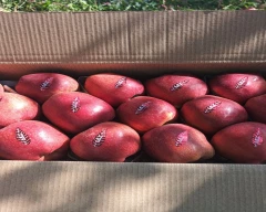 Kashmiri Apple for sale in Anantnag
