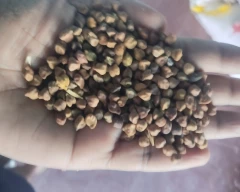 Yellow Chana for sale in Mahendragarh
