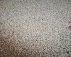 Pearl Millet for sale in Rewari