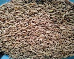 Brown Jeera for sale in Jalore