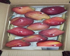 Kashmiri Apple for sale in Shopian