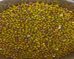 B Grade Quality Moong for sale in Nagaur