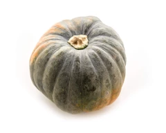 Normal Pumpkin for sale in Davangere