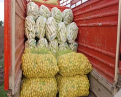 A Grade Quality Lemon for sale in Parbhani