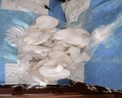 Oyster Mushroom for sale in Davangere