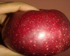 Kashmiri Apple for sale in Anantnag