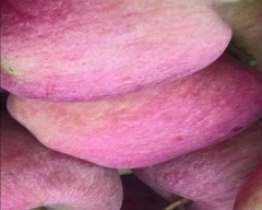 Kashmiri Apple for sale in Shopian