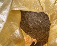 Pearl Millet for sale in Bulandshahr