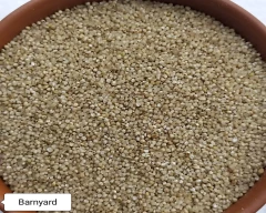 Barnyard Millet for sale in Nagpur