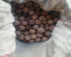 Kashmiri Wal nut for sale in Kupwara
