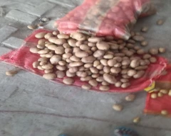 Chipsona Potato for sale in Lucknow