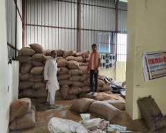 A Grade Quality Wheat for sale in Datia