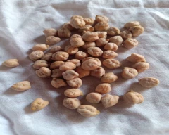 kabuli Chana for sale in Nandyal