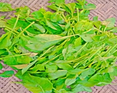 Normal Spinach for sale in Dholpur
