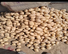 Jyoti Potato for sale in Hyderabad