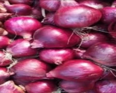 A Grade Quality Onion for sale in Vidisha