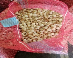 Normal Garlic for sale in Chitradurga