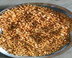 Indian Chana Dal for sale in Latur