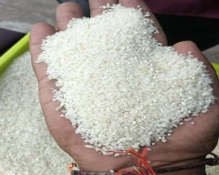 Broken Rice for sale in Sangli