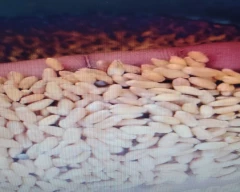 Milling Wheat for sale in Allahabad
