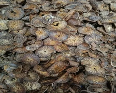 Jam Arecanut for sale in Solapur