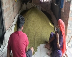 B Grade Quality Moong for sale in Jodhpur