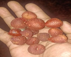 Rashi Arecanut for sale in Coimbatore