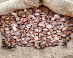 Dried Arecanut for sale in Jalpaiguri